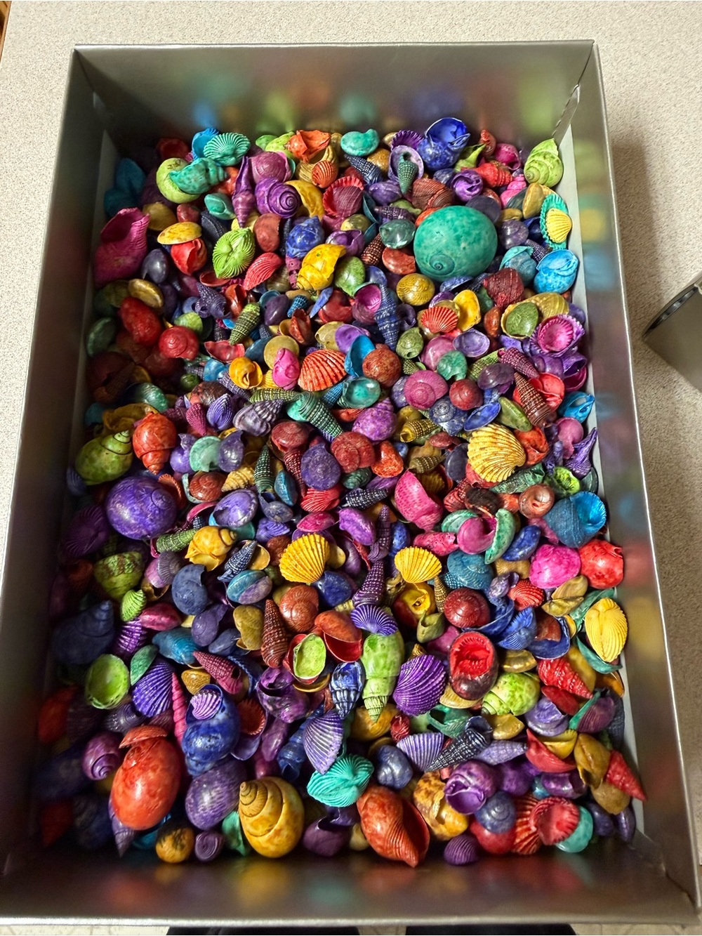 Colorful Mixed Shell Sensory Play Set for Kids